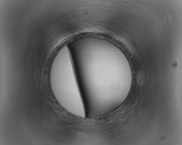 X0000097630968200802290840