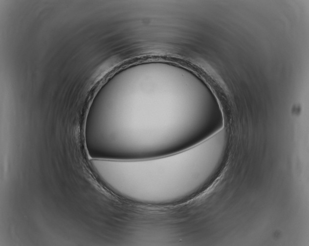 X0000097630969200802290840