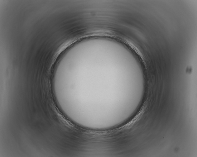 X0000097630970200802290840