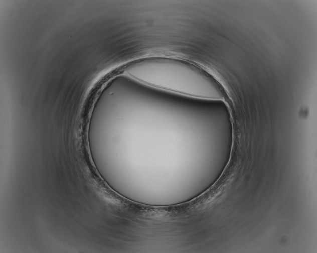 X0000097630971200802290840