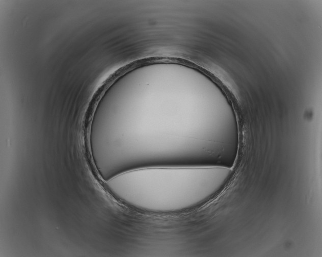X0000097630972200802290840