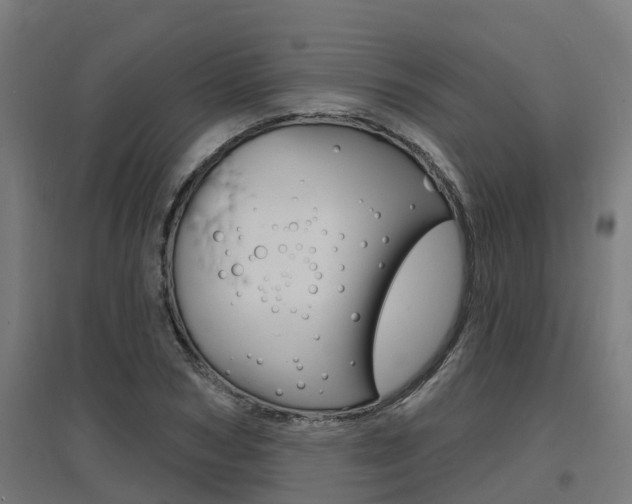 X0000097630978200802290840
