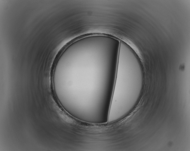 X0000097630980200802290840