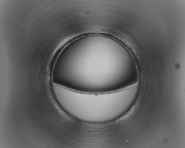 X0000097630981200802290840