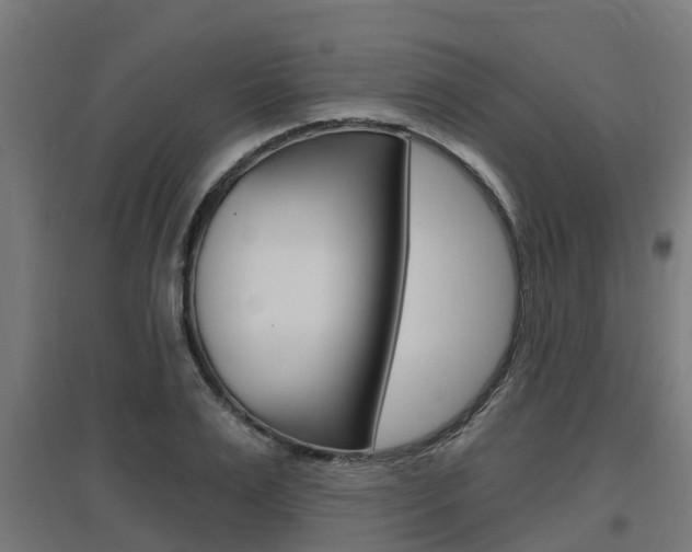 X0000097630983200802290840