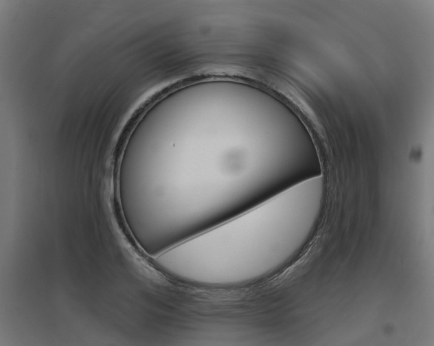 X0000097630984200802290840