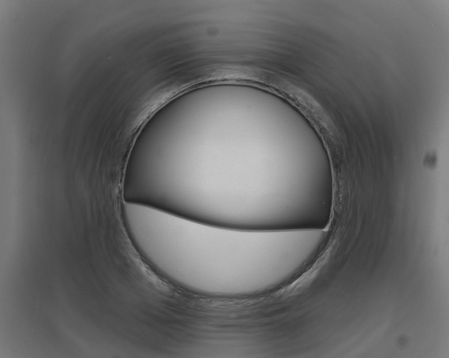 X0000097630985200802290840