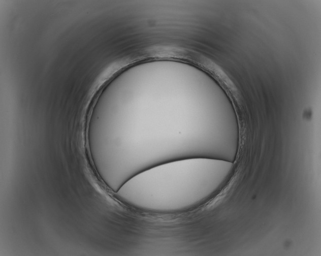 X0000097630986200802290840