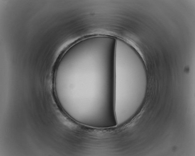 X0000097630987200802290840