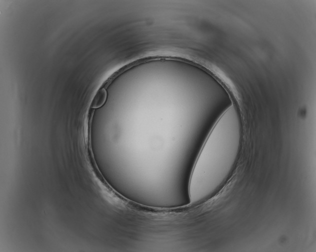 X0000097630988200802290840