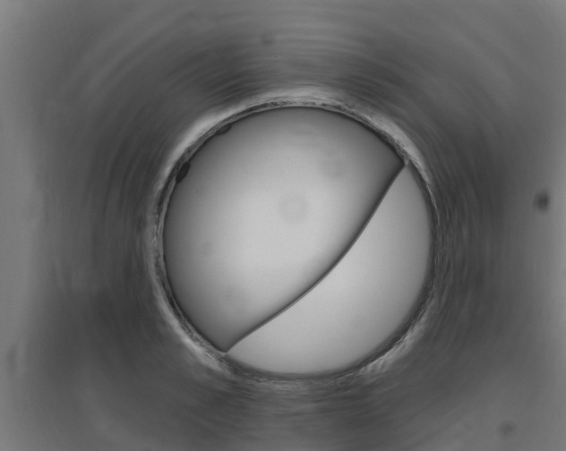 X0000097630989200802290840
