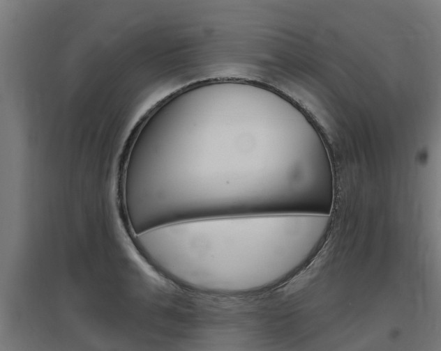 X0000097630991200802290840
