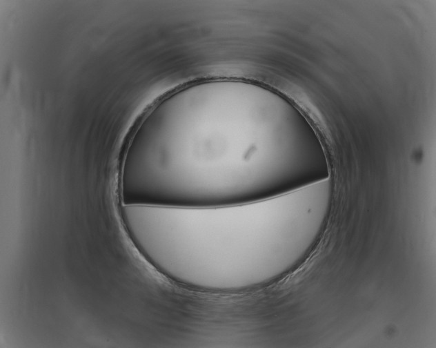 X0000097630992200802290840