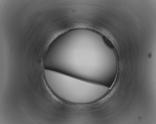 X0000097630993200802290840