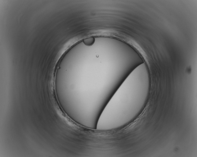 X0000097630994200802290840
