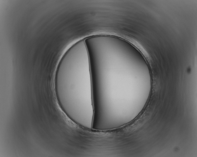 X0000097630996200802290840