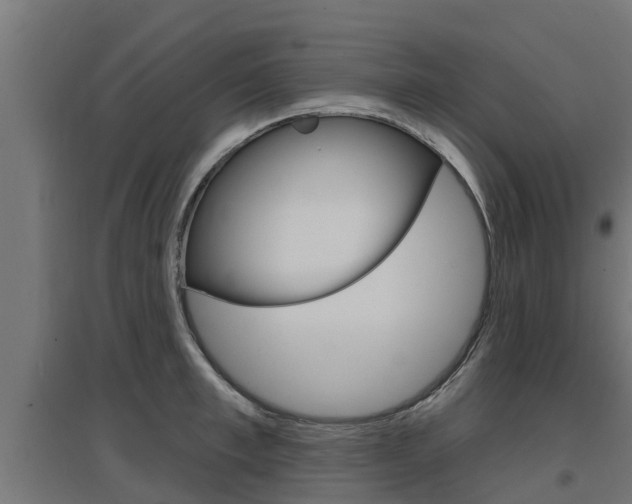 X0000097630997200802290840