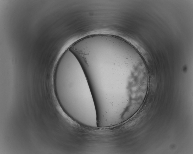 X0000097630998200802290840