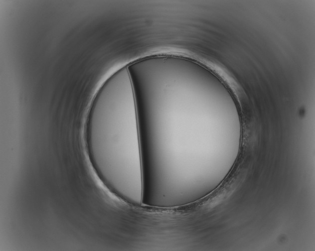 X0000097630999200802290840