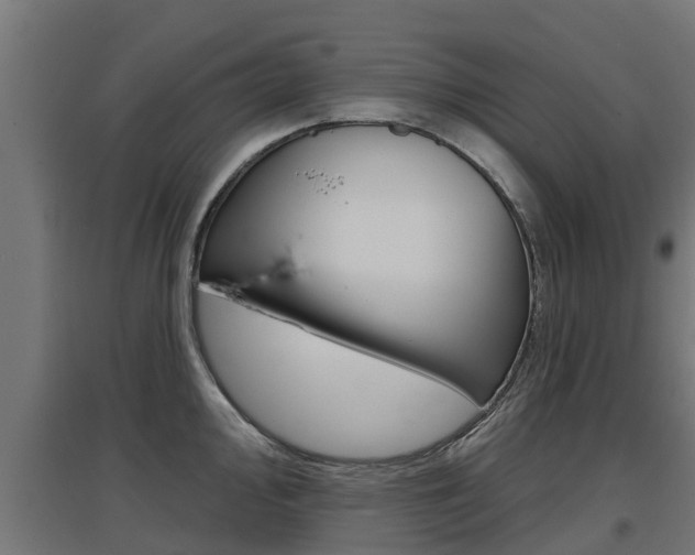X0000097631000200802290840