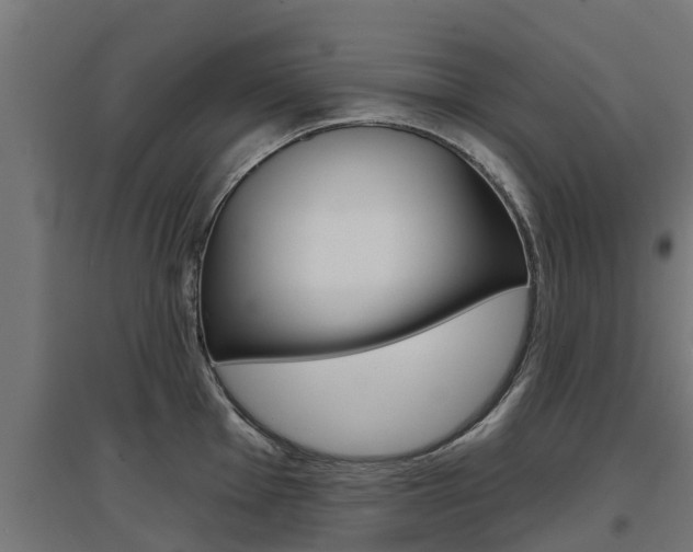 X0000097631001200802290840