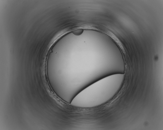 X0000097631002200802290840