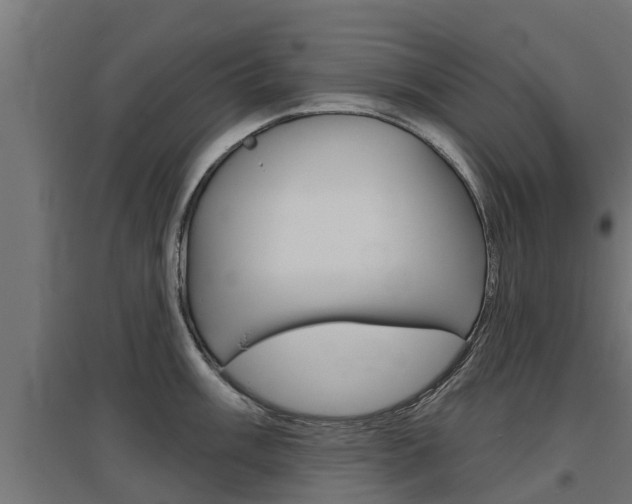 X0000097631003200802290840