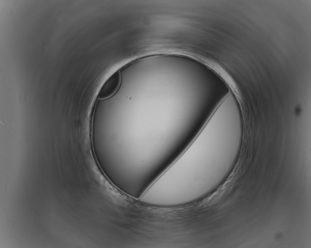 X0000097631004200802290840