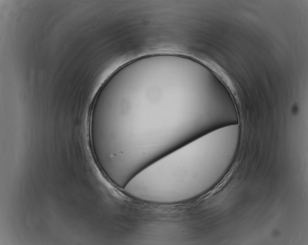 X0000097631006200802290840