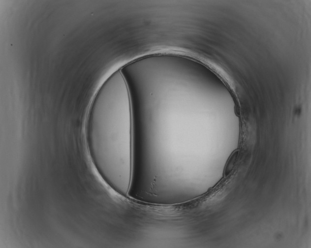 X0000097631007200802290840