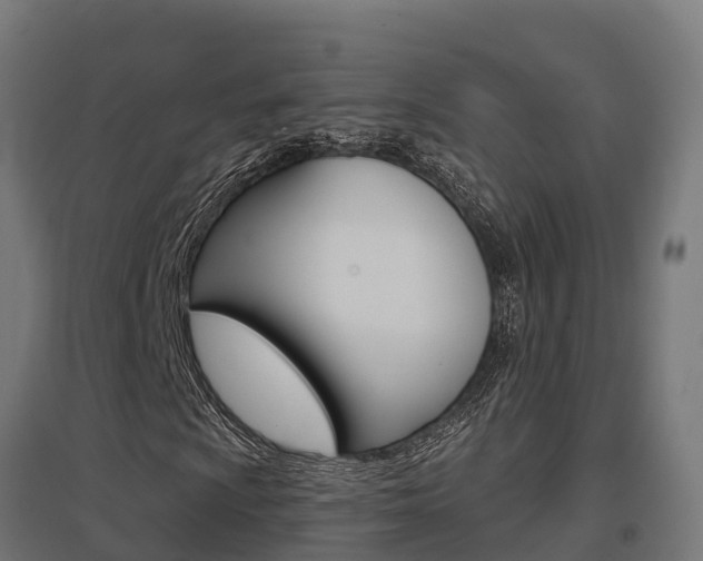 X0000097631009200802290839