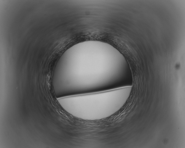 X0000097631010200802290839