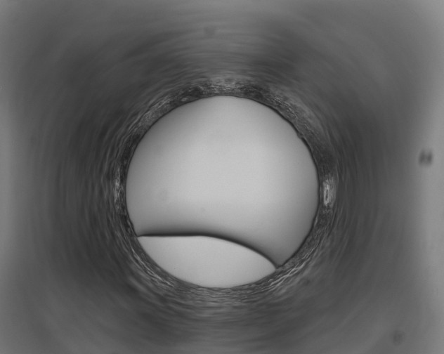 X0000097631011200802290839