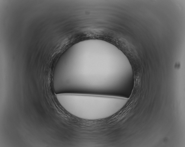 X0000097631012200802290839