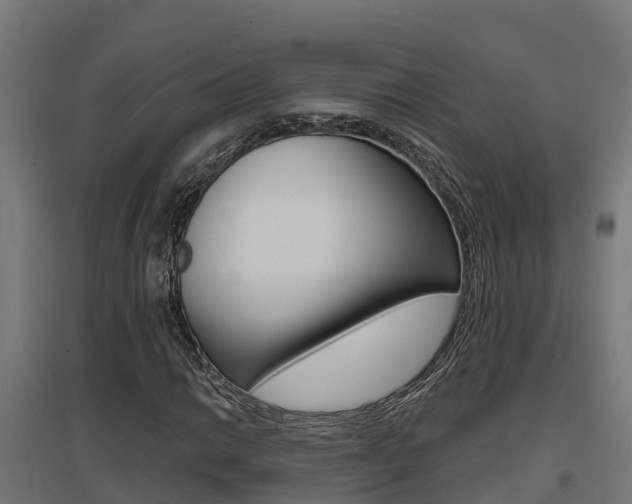 X0000097631014200802290839