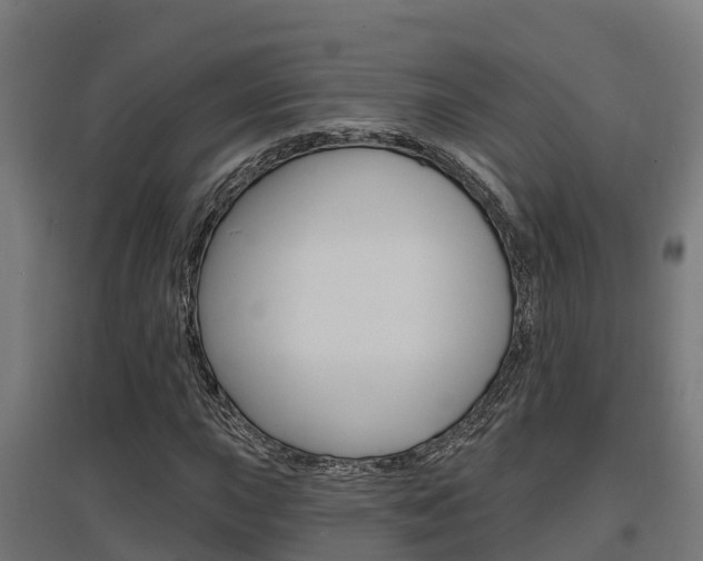 X0000097631015200802290839