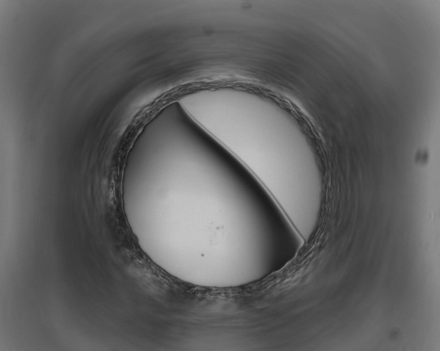 X0000097631016200802290839