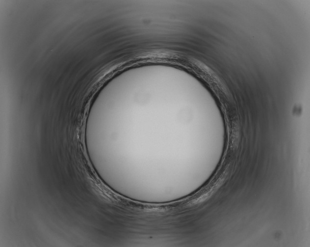 X0000097631017200802290839