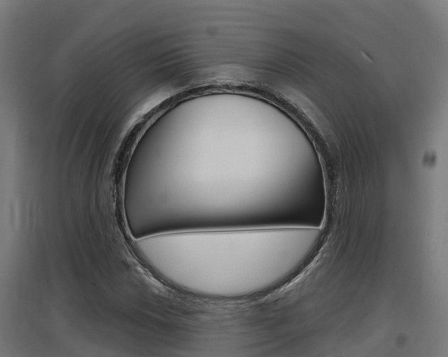 X0000097631018200802290839