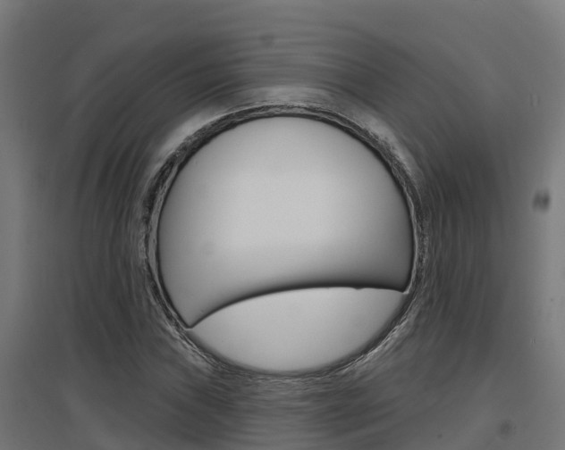 X0000097631019200802290839