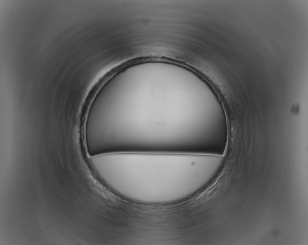 X0000097631020200802290839