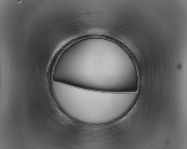 X0000097631022200802290839