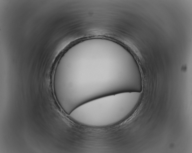 X0000097631023200802290839