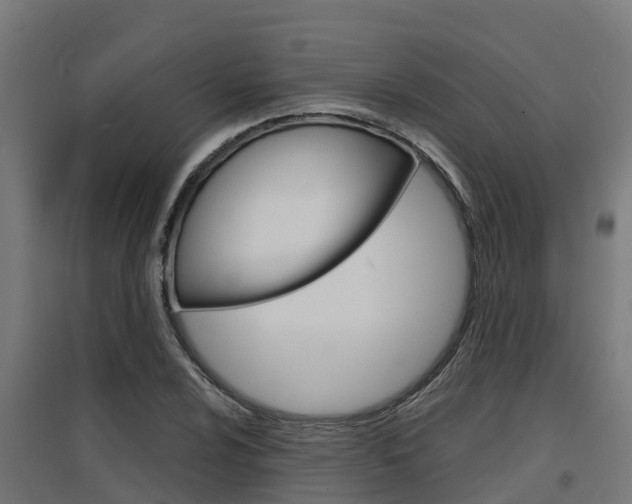 X0000097631024200802290839