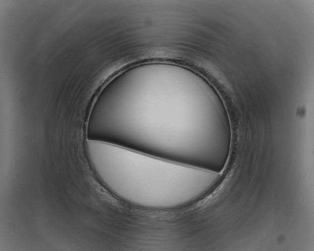 X0000097631025200802290839