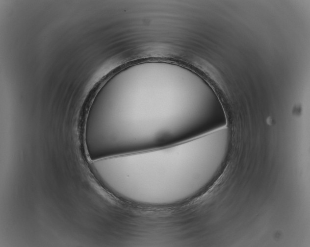 X0000097631026200802290839