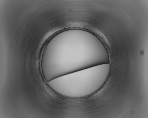 X0000097631027200802290839