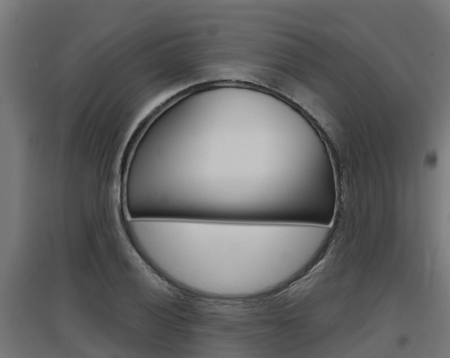 X0000097631028200802290839
