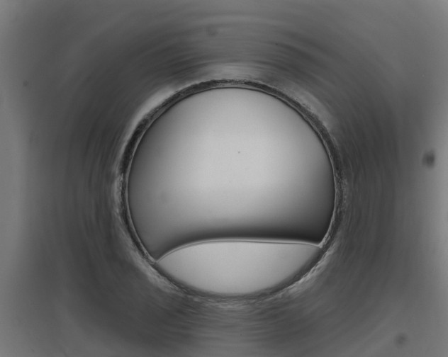 X0000097631029200802290839
