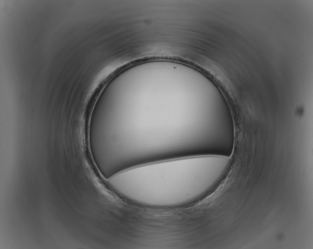 X0000097631030200802290839
